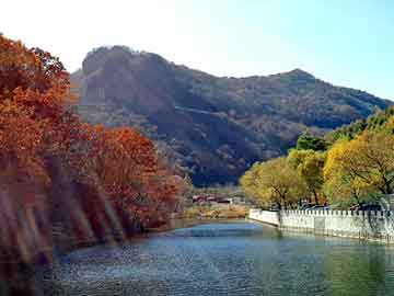 管家婆黑白马报图库，雪莲花治什么病